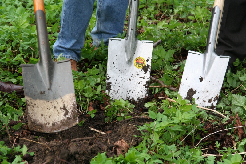 pepiniere-COLOMARS-min_work-lawn-flower-tool-green-backyard-1103633-pxhere.com